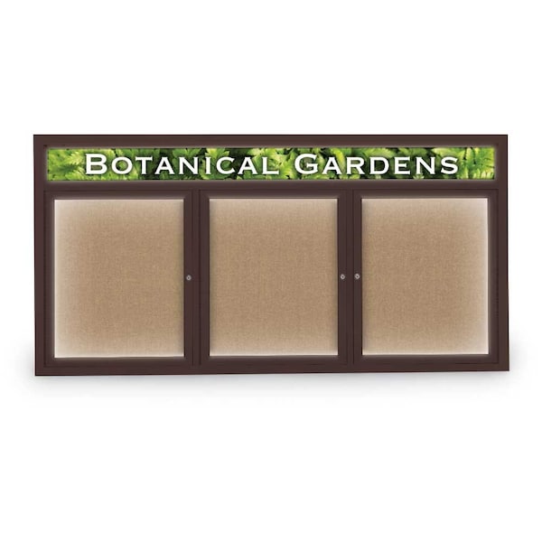 Open Faced Traditional Rounded Corkboard